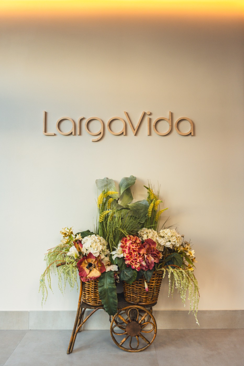 Rincón del estudio LargaVida